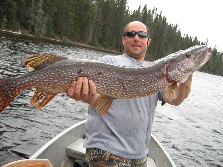 Walleye Fishing Ontario