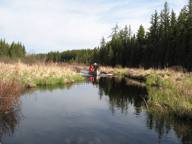 Ontario Big Game Hunting