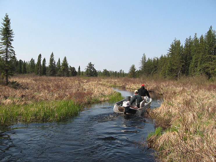 Ontario Big Game Hunting