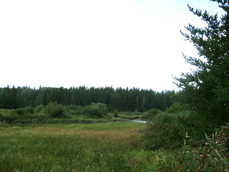 Ontario Big Game Hunting