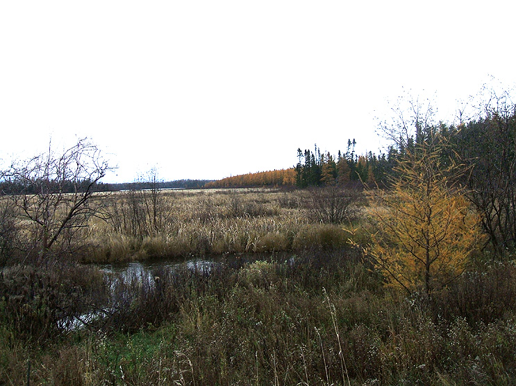 Ontario Big Game Hunting