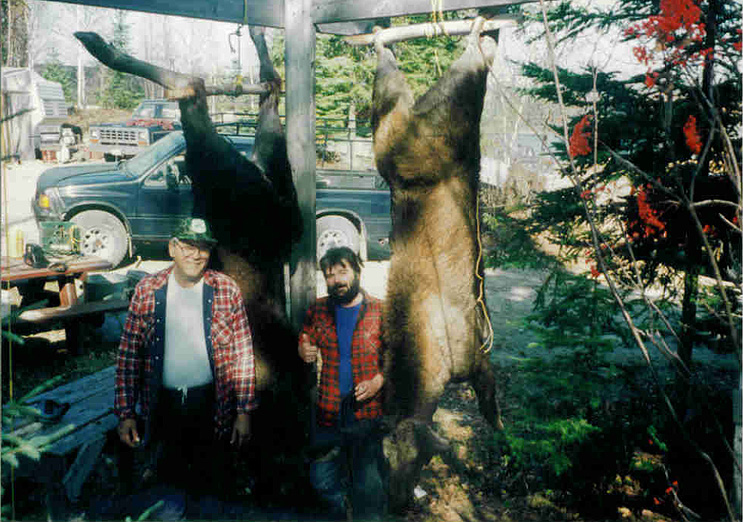 Moose Hunting Ontario