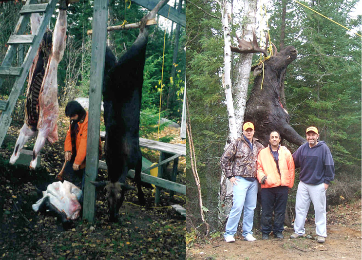 Moose Hunting Ontario