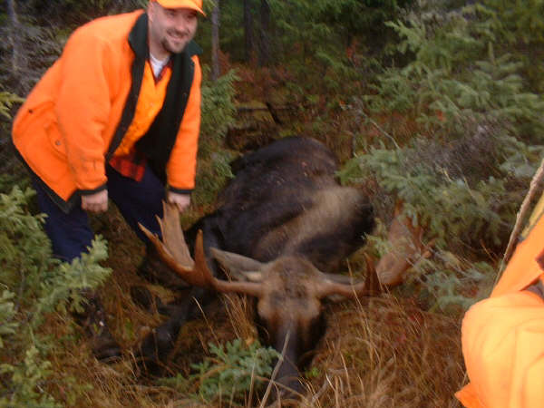 Moose Hunting Ontario